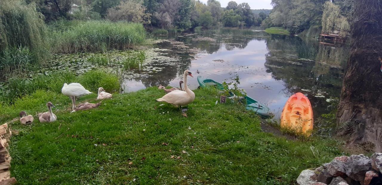 Ferienwohnung Mreznicki Kutak Duga Resa Exterior foto